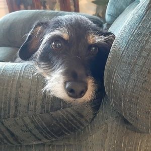 Meet your Posher, Donnie